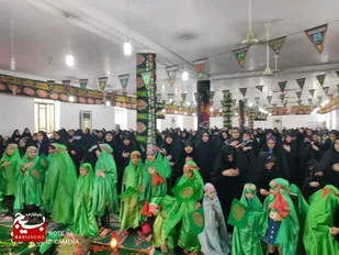 همایش سه ساله های حسینی  در بخش دلوار برگزار شد