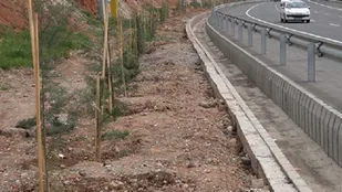 14 هزار درخت به فضای سبز شهر اصفهان افزوده شد