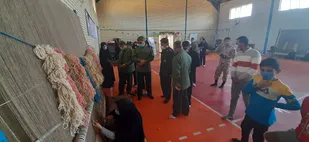 افتتاح شرکت قالی بافی با ایجاد ۳۰ فرصت شغلی در تاکستان