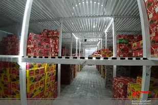تعاون روستایی بین کشاورزان سیستان و بلوچستان کارتن خرما توزیع میکند