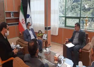 تحرک و پویایی چشمگیر برای رفع محرومیت از روستاهای ایلام/ دولت عهده دار انجام تمامی زیرساخت&zwnj;های خدماتی مسکن روستایی