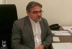 تبلیغاتی شدن خرید کالا موجب تورم می شود