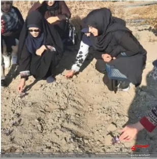 فعالیت جهادی بسیجیان حوزه ۷ ام البنین (س) ناحیه مقاومت بسیج امام صادق (ع) در برداشت زعفران