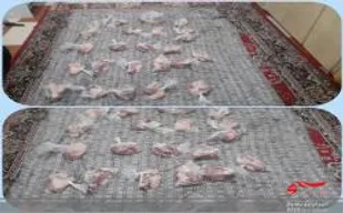 توزیع 30 بسته گوشت بین نیازمندان روستای رازان لرستان