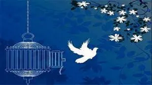 آزادی ۴۰ نفر از زندانیان جرایم غیرعمد در آذربایجان شرقی