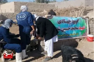 اردوی جهادی دامپزشکی در هیرمند برگزار شد