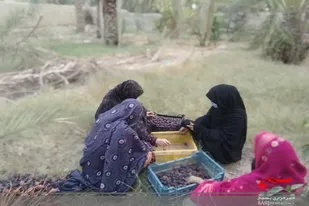 برگزاری اردوی جهادی در سراوان