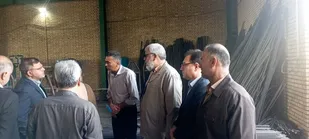 بازدید کارگروه استانی کمیته واحدهای آسیب&zwnj;دیده جنگ از شهرک صنعتی شهرستان گتوند