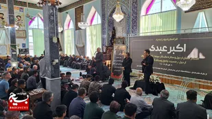 حضور مردم هنردوست اردبیل در زادگاه پدری اکبر عبدی