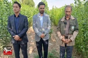 &nbsp;تولید ۴۰ هزار اصله نهال در نهالستان موقت بهار