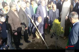 آئین روز درختکاری در بام ملایر برگزار شد