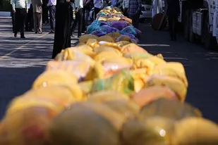 کشف ۴۹۴ کیلو تریاک در استان فارس