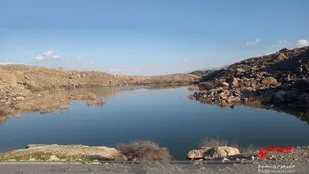 موردی از آنفلوانزای پرندگان در لرستان مشاهده نشده است
