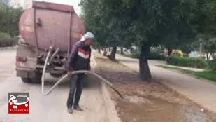 خنکای آب، به پارک جنگلی رادکان جان دوباره بخشید