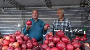 برگزاری شانزدهمین جشنواره انار بادرود/فیلم