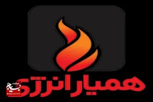 تربیت و سازماندهی نیروهای مردمی متخصص