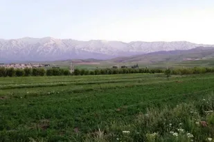 استفاده بی&zwnj;رویه از دشت&zwnj;های نهاوند با کشت محصولات پرآب، فاجعه یا فرصت شغلی؟