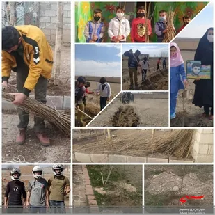 کاشت 2600 اصله نهال در بخش مرادلو