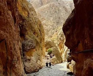 گردهمایی پیشکسوتان جهاد شهادت سپاه فیروزکوه