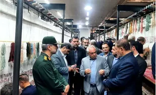 گام مهم در توسعه فرش دستباف تبریز؛ افتتاح تعاونی جدید با اشتغال ۲۰۰ نفر