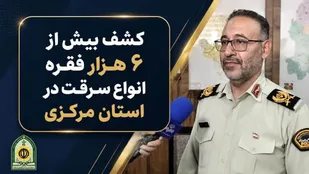 کشف ۶ هزار و ۲۷۹ فقره سرقت در استان مرکزی؛ ۲ هزار و ۴۶۳ سارق دستگیر شدند