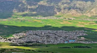 شهرستان چرداول قطب اول برنج کاری استان ایلام