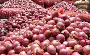 ترانزیت ۱۹۸ تن پیاز از آبادان