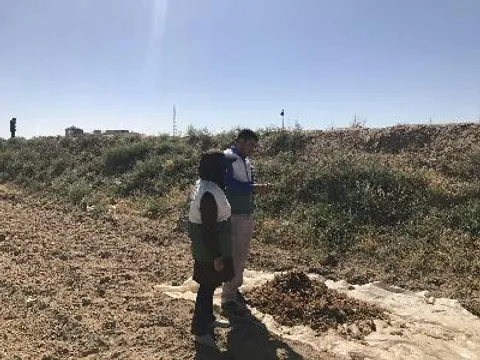 برداشت 45 تن در هکتار زعفران در روستای گنبد از توابع  حر مشهد