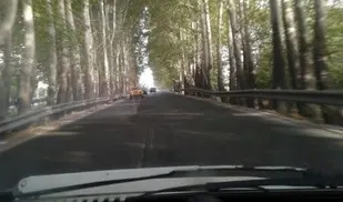 جاده صفادشت به  ملارد به کشتارگاه تبدیل شده