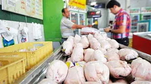 برخورد قاطع دادستانی تهران با کانون&zwnj;های فساد بازار مرغ