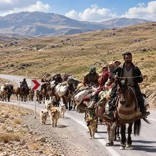 آغاز کوچ پاییزه ۱۱ هزار و ۲۰۰ خانوار عشایری لرستان به مناطق قشلاقی