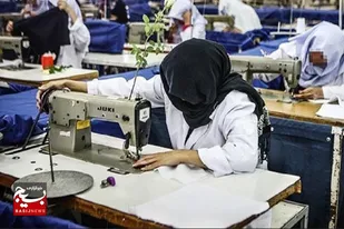 ۴۱۷ مددجوی کمیته امداد شهرستان اردبیل فرصت اشتغال پیدا کردند