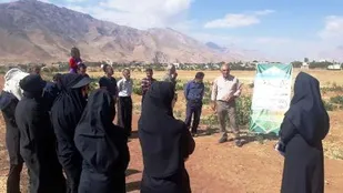 برگزاری روز مزرعه در شهرستان اردل
