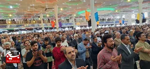 اقامه نماز با شکوه عید سعید فطر در تربت&zwnj;جام+فیلم و تصاویر
