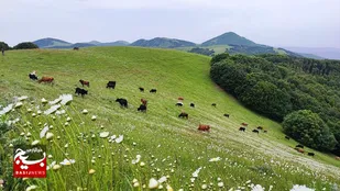 خنک&zwnj;ترین شهر ایران در تابستان