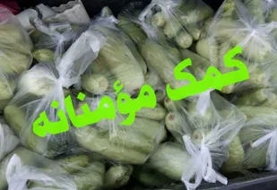 طبخ و پخش ۱۰۰۰ وعده اطعام تبرکی بمناسبت عیدسعیدغدیرخم در شاهرود