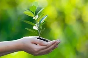 غرس ۶۰۰ اصله نهال به یاد ۶۰۰ شهید والامقام کبودراهنگ