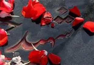دیدار جمعی از بسیجیان با خانواده شهید "محمد قاسمیان" در شیروان