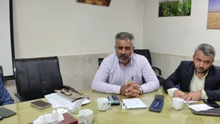 ۴۱ درصد زنبور عسل و ۵۰ درصد دام سنگین صنعتی استان در شاهرود
