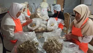 کارآفرین گنبدی با صادرات به چند قاره، باور خانه&zwnj;نشینی زنان را تغییر داد