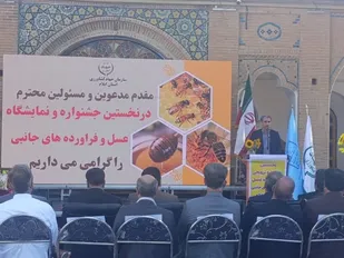 سالانه ۱۵۰۰ تن عسل در ایلام تولید می&zwnj;شود