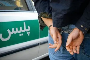 دستگیری ۷ نفر در اجرای طرح امنیت محله محور ملایر