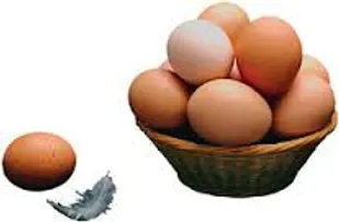 تخم مرغ تا 500 تومان رکورد زد