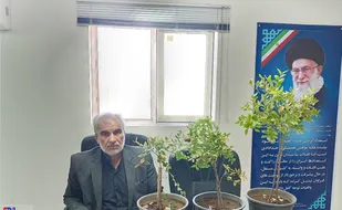 ​عمل آوری هسته عناب و پسته به درخت و محصول / از تجربه و علم در کناریکدیگر استفاده کرده ام