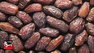 پیش بینی برداشت ۶۸ هزار تن خرما در آبادان