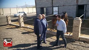 ظرفیت&zwnj;های ورزشی سپاه عاشورا الگویی برای کل کشور است