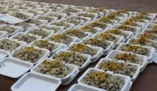 لبیک دانش آموزان بسیجی لاران به فرمان رهبر معظم انقلاب