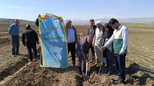 غرس 8888 اصله نهال به نیت امام رضا (ع) در شهرستان اهر