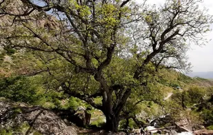 چهار اثر طبیعی قزوین واجد ارزش ثبت ملی شناخته شد