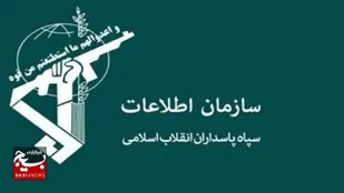 دستگیری عوامل شبکه سازمان یافته سودجو نهادهای دامی&nbsp;در اردبیل